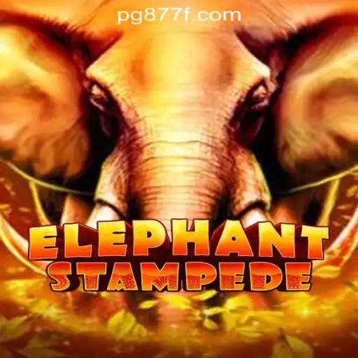 Experience the Rush with ElephantStampede: A New Leader in Online Slots